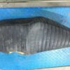 selle Yamaha 125 SR 10F